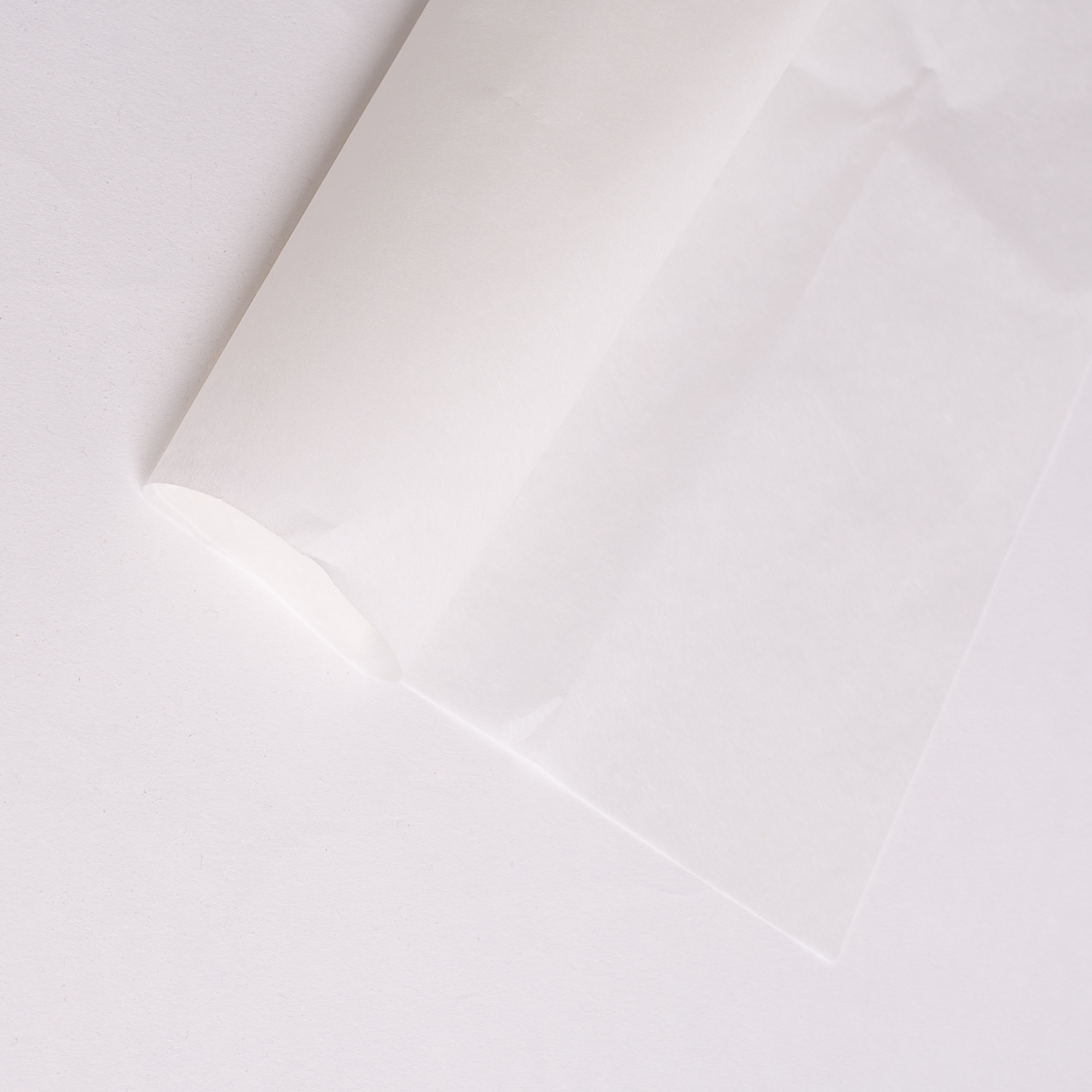 The original Japanese acid free Rice Paper 22 x 32 (56 cm x 81 cm .